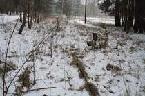 traurige berreste der 1995 stillgelegten Anschlubahn zum Imprgnierwerk Hubertusmhle kurz vor den Werkstoren