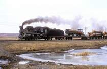 31179  Ling Nan  05.04.99