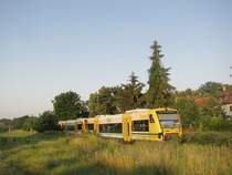 Ahrensfelde-Friedhof. VT650-51 als Zug der Linie OE25 nach Berlin-Lichtenberg, 3.07.2009.
