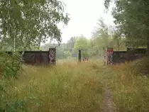 Auch hier an der Einfahrt I zur Chemischen Fabrik Finowtal wurden die Gleise bereits entfernt. 10.08.2008