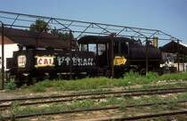 1101  P.T.Brau  04.03.96