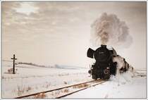 Ein Winterdampftag kann beginnen. Unter dem Motto „Winterdampf ins Weinviertel“ setzte die �BB Nostalgie am 23.1.2010 Sonderzug SR 16102 von Wien Heiligenstadt nach Ernstbrunn in Verkehr. Urspr�nglich sollte sich der Wagensatz aus sechs vierachsigen Waggons der Firma Brenner&Brenner zusammensetzen, welche auch �ber eine Dampfheizung verf�gt h�tten. Allerdings kam dann aber diese, etwas ungew�hnliche Garnitur, bestehend aus dem Generatorwagen und Speisewage der Erlebnisbahn und „Fourgon“ und „Excelsior“ von MAJESTIC IMPERATOR zum Einsatz. M�glicherweise waren die nicht befriedigenden Vorausbuchungen Grund f�r diesen Wagensatz. Die Aufnahme zeigt den Zug kurz vor Mollmannsdorf.