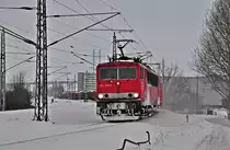 155 019 mit einem Holzzug vom Bf Stralsund R�gendamm am 03.02.2010
