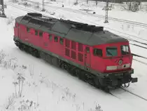 233 515 am 12.02.2010 in Brandenburg Hbf.