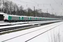 Er wird immer l�nger... der Neuoffinger Lokzug: 9 x BR 186 und anschlie�end 15 x BR 185. Loks bis zum Horizont... (12.02.2010).