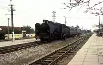 141 164  Hai Daong  22.02.93