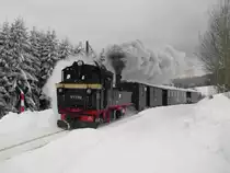 Winterferiendampf in Sch�nheide, am 14.02.10. 99 582 ist auf dem Weg von Neuheide nach St�tzengr�n.