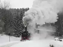 Winterfereiendampf in Sch�nheide, am 14.02.10. 99 582 ist in der steigung von Neuheide nach Sch�nheide.