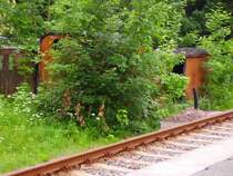 Nebenbahnromantik... 2 Alte Wagenk�sten, darunter ein Packwagenkasten in Antonstal 01.07.05 Mittlerweile wurde das Strauchwerk rundum abgeschnitten und man hat freie Sicht auf das gute St�ck