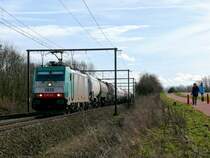 Cobra-Lok 2828/ zieht einen Kesselwagenzug in Richtung Antwerpen. Hier aufgenommen am 27/02/2010 kurz vor Hoeselt.