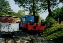 N3 ex Foron (LKM 1952 49802) im Schmalspurmuseum Rittersgr�n 25.06.05. 