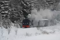 Teleaufnahme (200mm) von 99 4511, die am 13.02.2010 zwischen Schmalzgrube und Steinbach unterwegs war.