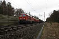 233 373 mit einem gemischten G�terzug am 13.03.2010 in Gifhorn