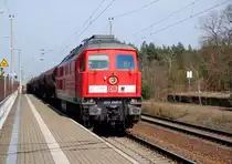 233 249 zieht am 30.03.10 einen Gz durch Burgkmenitz Richtung Bitterfeld.