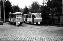 Deutschland - Dresden - Wilder Mann, 1991