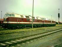 MEG 206 ex 118748/348 Bj.1968
MEG 208 ex 118786/386 Bj.1969
R�dersdorf 05.05