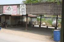 Hst. Bang Thorut am 27.M�rz 2010.