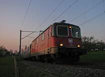 Im letzten Abendlicht konnte ich in T�gerwilen noch Re 4/4 11302 mit dem IR 34678 (Konstanz-Z�rich HB) erwischen, der den ausgefallenen IR 9078 (Konstanz-Biel/Bienne) ersetzte. (24.April 2010)