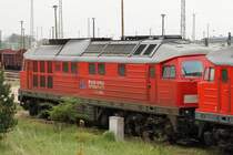 232 568-6 am 14.05.2010 in Angerm�nde