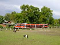 Mit dieser Reihe melde ich mich wieder zur�ck auf Bahnbilder.
Die Pferde lassen sich durch RB29486 von M�nster nach Gronau nicht st�ren und fressen weiter.
17.05.2010, Ochtrup

