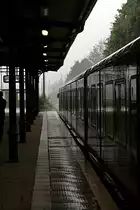 Gewitter und Platzregen, die Sicht war auf einige wenige Meter beschr�nkt. Selbst das Licht brachte wenig Besserung da es kurz nach der Aufnahme ausfiel (Berlin Hirschgarten 24.05.2010)