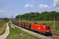 Die 1116.254 brachte am 24. Mai 2010 den umgeleiteten SLGAG 47481 (Linz Stahlwerke - Koper (SZ)) nach Spielfeld-Stra� und n�hert sich nun dem Bf. Wartberg/Krems.