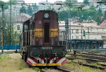 742 373, am 22.05.2010 am Hauptbahnhof in Bratislava.