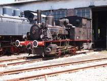 Die Luci bei den Rieserdampftagen vor den N�rdlinger Heizhaus am 5.juni 2010