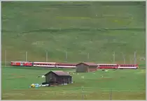 W�hrend bei Segnas noch die K�he weiden, sieht es weiter oben am Oberalppass ganz anders aus. (03.06.2010)