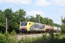 Auf den Weg vom Fotopunkt richtung S-Bahn ergab sich dann noch dieses Bild auch in Vaterstetten am 11.6.2010