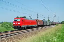 Am Nachmittag des 12.06.2010 ist die 185 343
mit einem gemischten G�terzug bei Marchtrenk
zu sehen gewesen.