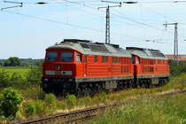 233 232-8 und 233 689-9 durchfahren am 18.6.2010 den Bahnhof Krensitz.