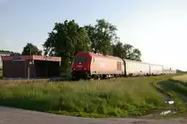2016 066-0 mit D 963 M�nchen-Linz am 29.05.2010 in Geinberg (Strecke Braunau-Ried im Innkreis)