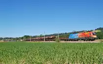 Auf dem Weg von Wels nach Selzthal bzw. weiter nach Graz ist am 28.06.2010
der 54685 bespannt mit der 1116 250 zwischen
Nussbach und Schlierbach zu sehen gewesen.