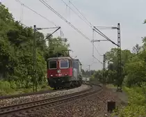 Re 421 396-3 am 2. Juni 2010 bei Istein.
