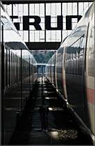 Durchblick - 

... zwischen im Münchener Hauptbahnhof haltenden ICE-3- und Lirex-Zügen. 

26.6.2010 (J)