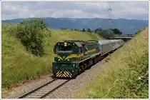 664 119 mit ihrem SE 19194 am 25.6.2010 kurz vor Wei�kirchen in der Steiermark.
