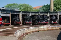 Neben den 3 Ludmillas und den 4 Albau-E-Loks waren am 03.07.10 diese Dampfr�sser zu sehen.