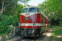 MEG-206 wurde am 03.07.10 im DB Museum als hinterste Lok gezeigt. Fast schon wie im Wald. 
