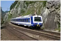 4020 304 f�hrt als R 2956 von M�rzzuschlag nach Payerbach-Reichenau. Breitenstein 3.7.2010