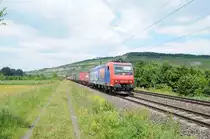 482 029 am 23.06.10 in Th�ngersheim