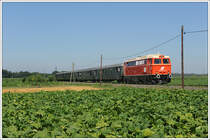 Anl�sslich der Feierlichkeiten 125 Jahre Radkersburgerbahn wurde am 10.7.2010 von Wien Franz-Josefs-Bf aus Sonderzug E 16245 nach Bad Radkersburg in Verkehr gesetzt. Bis Spielfeld-Stra� von der altw�rtigen 1042 041 bespannt, wurde er dort von der neu aufgearbeiteten 2043 005 aus Linz bespannt, die mit Hilfe einiger Leute zu diesem Zweck in die Steiermark gebracht werden konnte, und im Zuge dieser Fahrt auch ihre erste Probefahrt nach der Aufarbeitung mit Bravur absolviert hat. Die Aufnahme zeigt den Zug auf der nicht elektrifizierten Strecke zw. Spielfeld-Stra� und Bad Radkersburg in Schwarza.