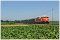 Anl�sslich der Feierlichkeiten 125 Jahre Radkersburgerbahn wurde am 10.7.2010 von Wien Franz-Josefs-Bf aus Sonderzug E 16245 nach Bad Radkersburg in Verkehr gesetzt. Bis Spielfeld-Stra� von der altw�rtigen 1042 041 bespannt, wurde er dort von der neu aufgearbeiteten 2043 005 aus Linz bespannt, die mit Hilfe einiger Leute zu diesem Zweck in die Steiermark gebracht werden konnte, und im Zuge dieser Fahrt auch ihre erste Probefahrt nach der Aufarbeitung mit Bravur absolviert hat. Die Aufnahme zeigt den Zug auf der nicht elektrifizierten Strecke zw. Spielfeld-Stra� und Bad Radkersburg in Schwarza.
