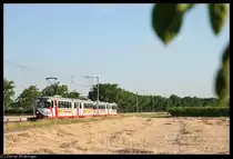 Am 19. Juli 2010 beschleunigt ein Zugverband, gef�hrt von 4105, aus dem Haltepunkt Hohensachsen. Sein n�chster Halt wird der OEG Bahnhof von Gro�sachsen sein.