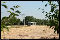 W�hrend der Fahrer vom Wagen 4118 im F�hrerstand in der Sonne brutzelt sucht sich der Fotograf am 19. Juli 2010 ein schattiges Pl�tzchen inmitten von Pflaumenb�umen.