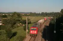 185 372-0 mit IKL 50510 Singen(Htw) - Rheinhausen in M�hlhausen. 20.07.10