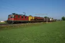 Re 4/4 II 11280 verl�sst am 8.7.10 mit einem G�terzug Algetshausen-Henau.