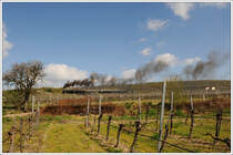 93.1420 am Vormittag des 22.4.2010 mit ihrem Fotoperser von Retz nach Drosendorf in den Weinbergen kurz nach Retz aufgenommen.
