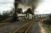 15A-1970 + GO-2575  Robindale  20.08.01