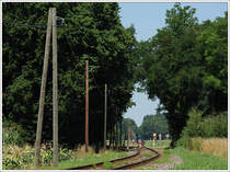 VT 10.02 + VB 10.12 als R 19679 von Graz nach Bad Radkersburg anl�sslich der Feierlichkeiten 125 Jahre Radkersburger Bahn am 11.7.2010 kurz vor Hummersdorf.